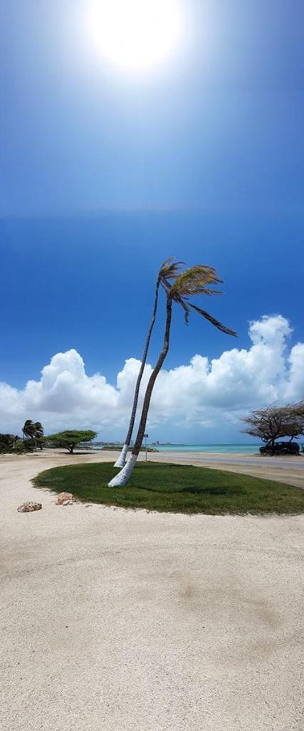 Aruba Beach Villas Палм Бийч Екстериор снимка