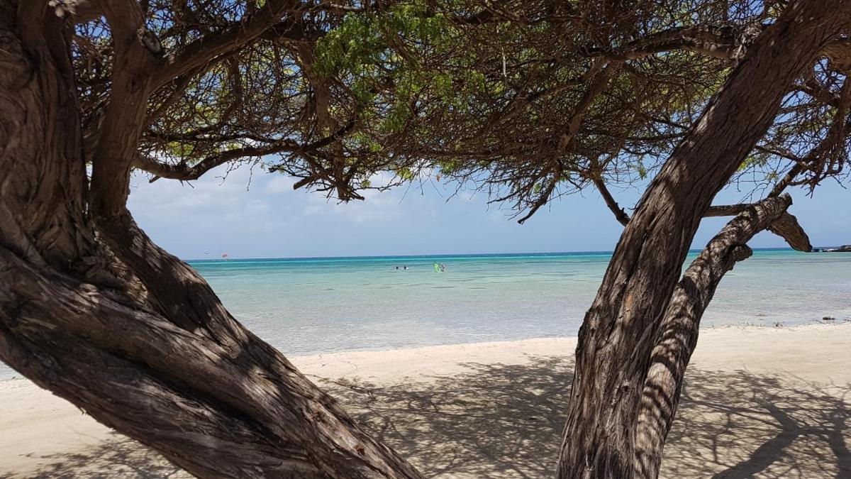 Aruba Beach Villas Палм Бийч Екстериор снимка